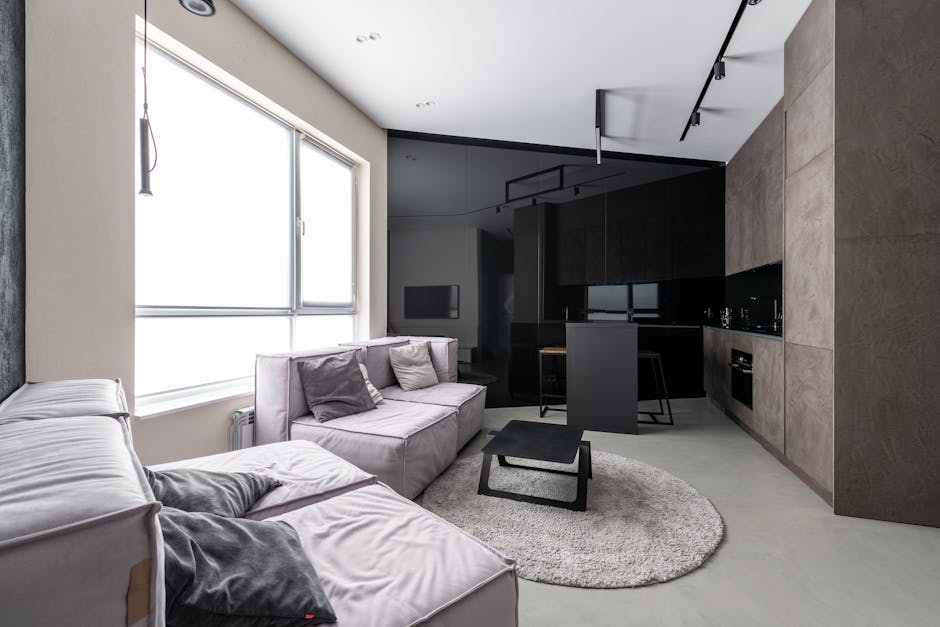 Professional Carpet Cleaning by DiduMue